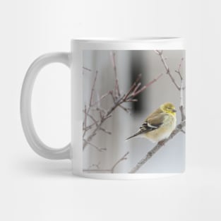 American Goldfinch Fluffy and Warm by Debra Martz Mug